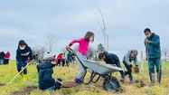 INITIATIVE – Les enfants plantent des arbres à Villenave dans les Landes